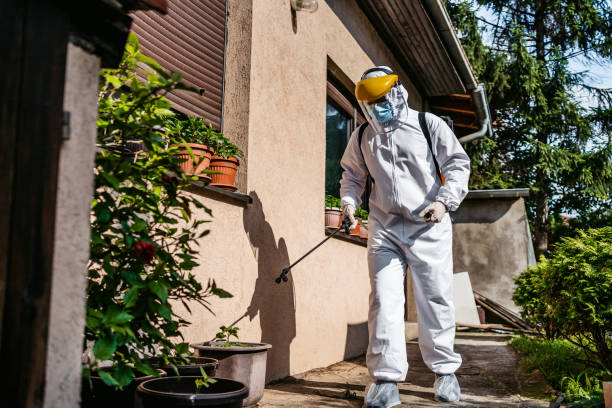 Best Mosquito Control Services  in Batesville, AR