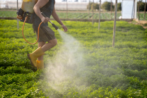 Best Insect Control  in Batesville, AR