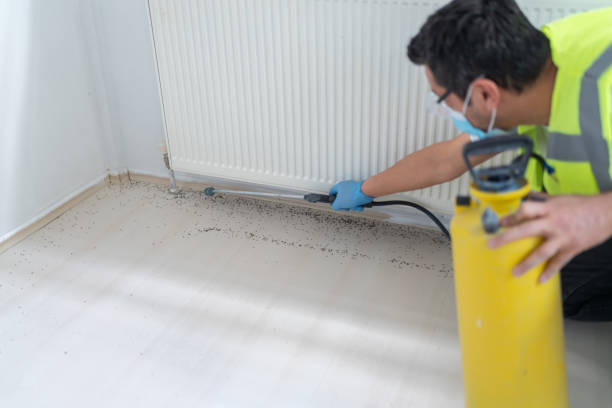 Best Wasp Removal Services  in Batesville, AR