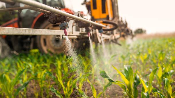 Best Wildlife Control Services  in Batesville, AR